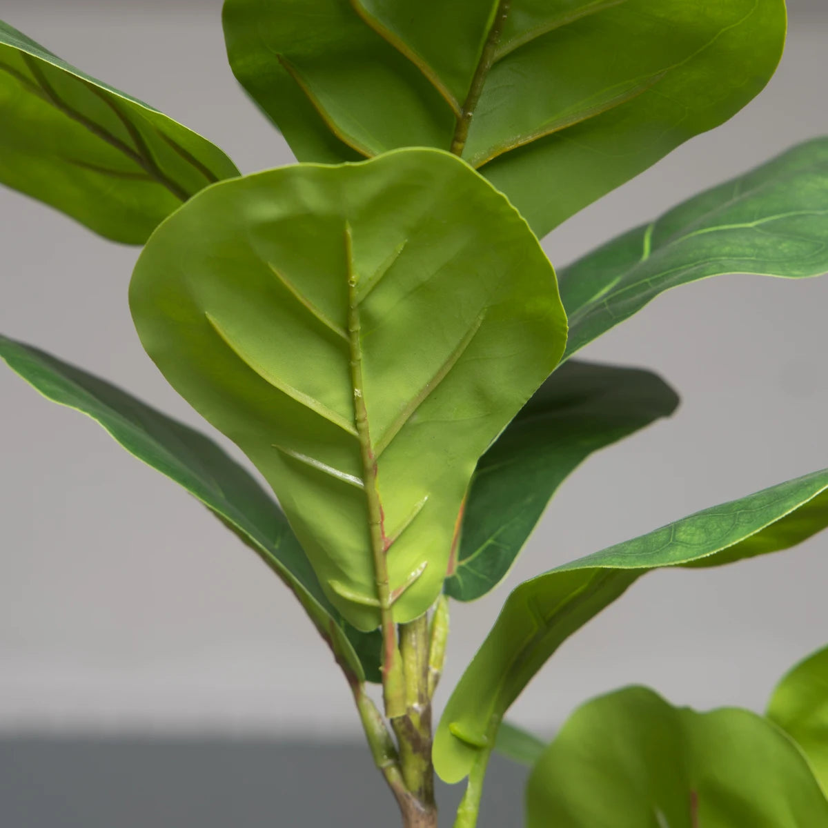 Ficus Artificial